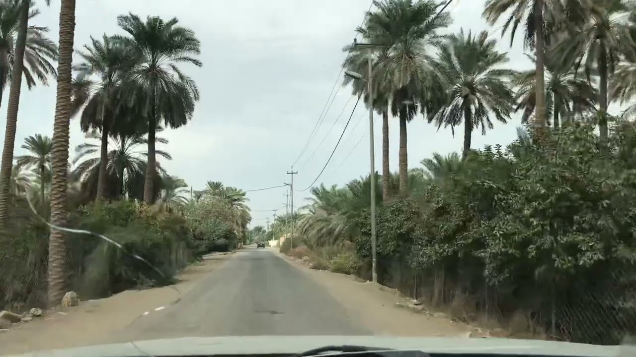 جولة في بساتين قضاء الصويرة في محافظة واسط