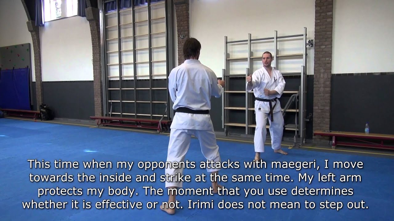 Wadokai Karate Seminar: What is IRIMI