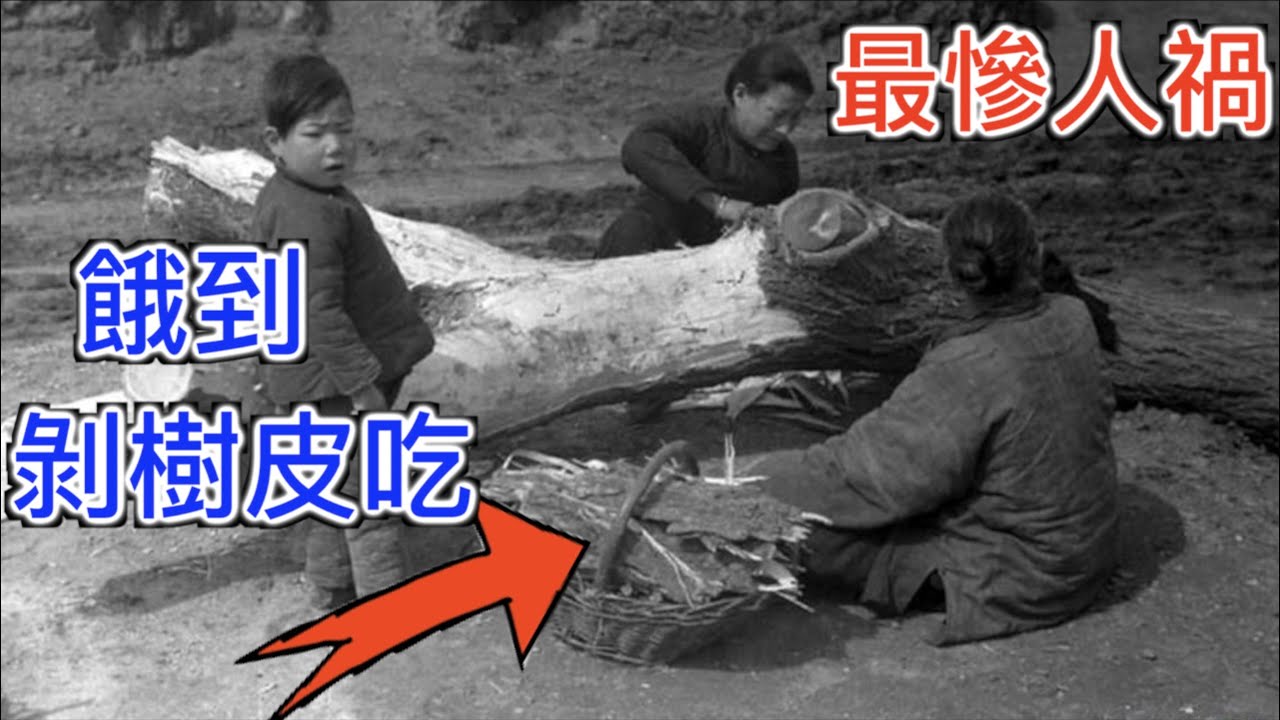 中国貧困縣領導打赌“吃屎”,卻意外创造一亿GDP! 中國史上最慘的人禍,政府數據造假