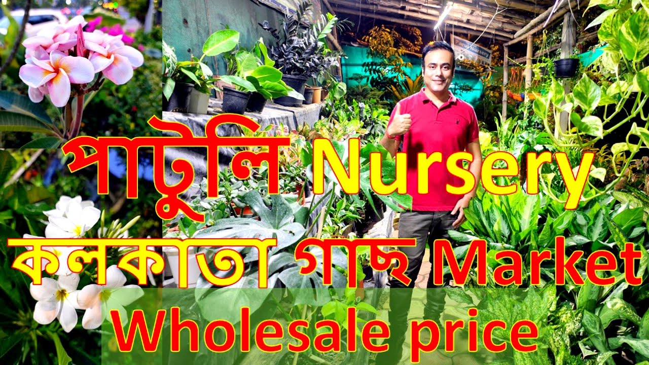 Patuli Nursery & Plant Market | Cheapest Nursery Kolkata | Street Shopping Kolkata@Explorer Bengali