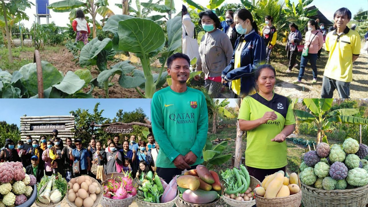 ที่สุดแห่งเมืองกาฬสินธุ์!!คนแห่มาดูไม่ขาดสาย..เกษตรผสมผสานบ้านไร่สวนสุข