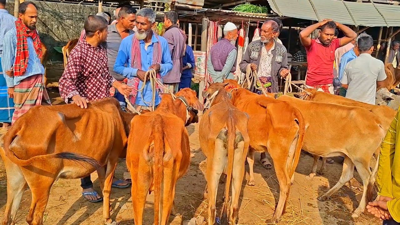 @আজ ২ মার্চ