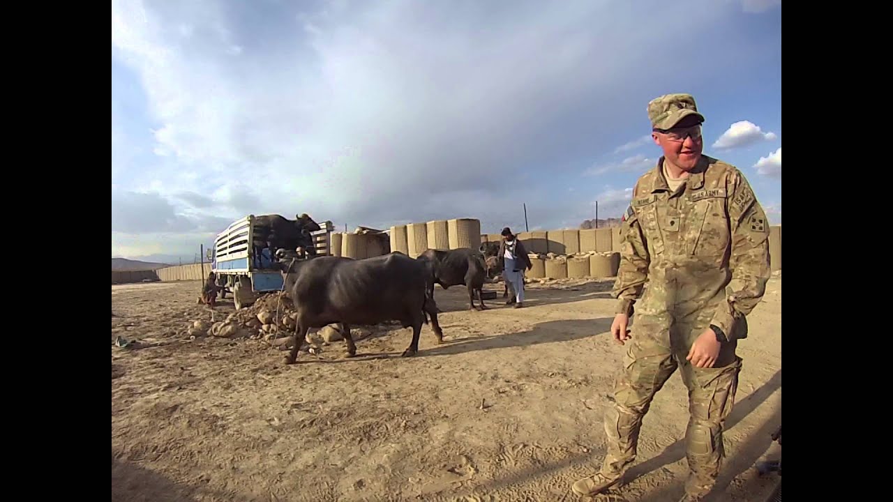 To Helmand and Back (Trailer)