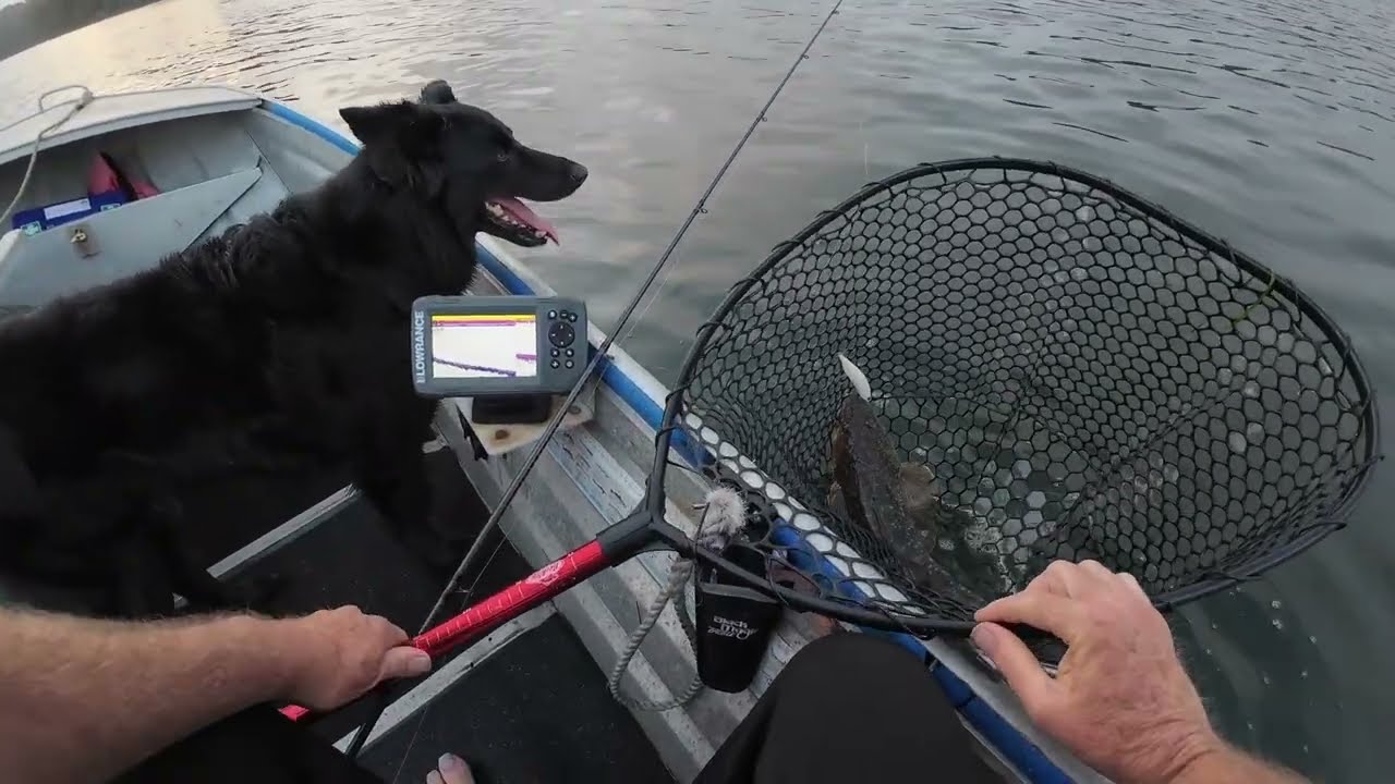 TOP 10 Finish! Flathead Fishing - My pre-fish run-up to a full Moon. Reel It In 2026 Fishing Comp.