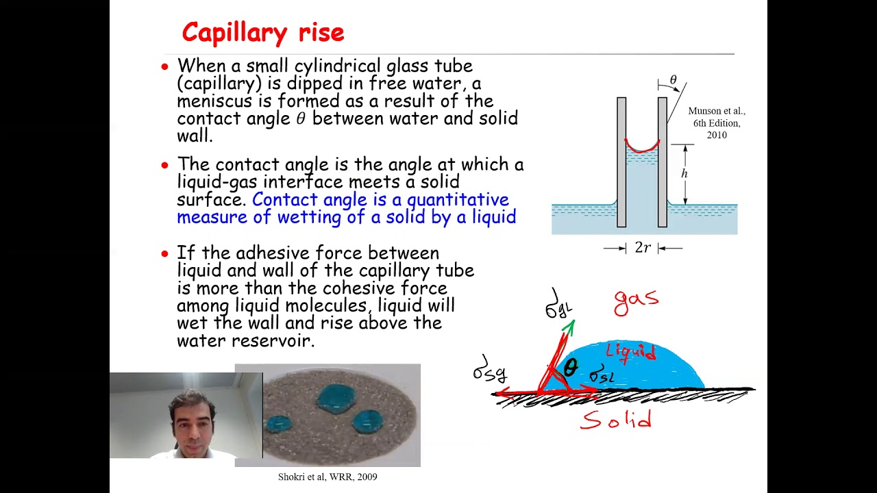 Surface tension and capillary rise