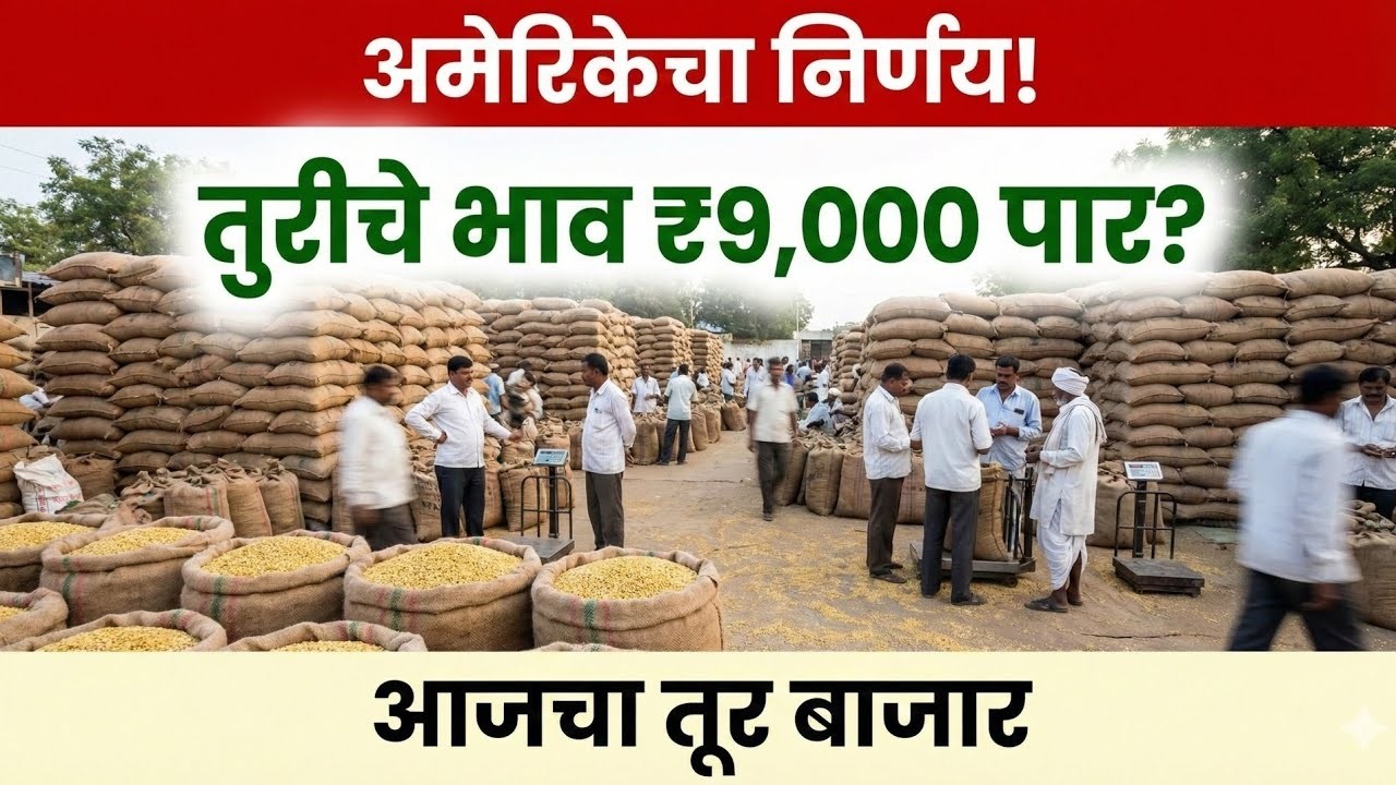 तूर दर मोठा स्फोट! 🚀 विकायचं की थांबायचं? | Tur Rate Today Analysis 2026, tur bajar bhav ,तूर बाजार