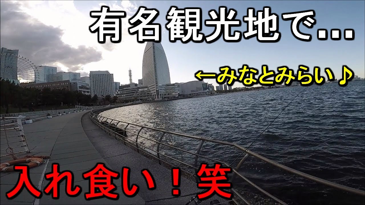 【新港パーク】横浜の有名観光地みなとみらいで釣りしてみたら魚が入れ食いにｗ【2019.04.09】