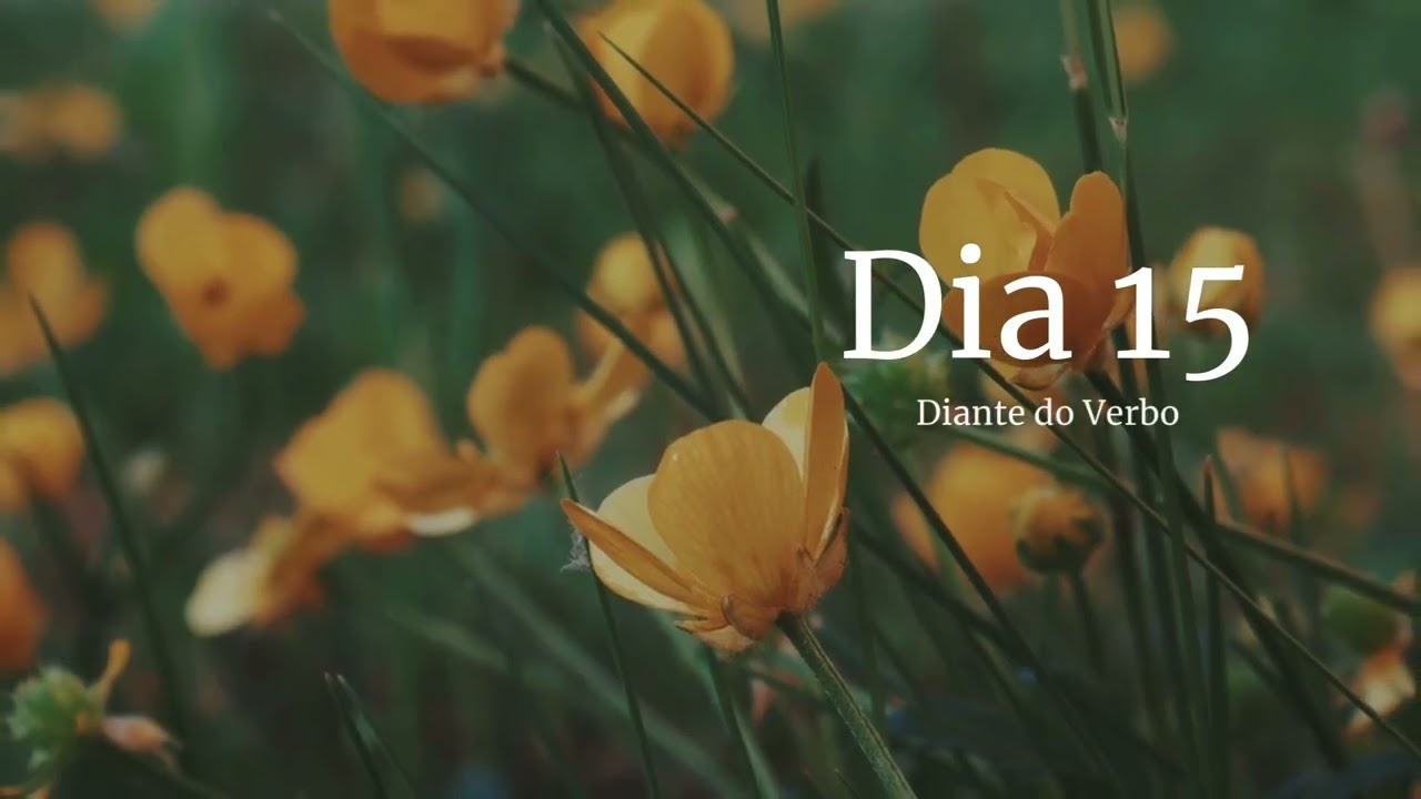 Leitura anual da Bíblia - Dia 15