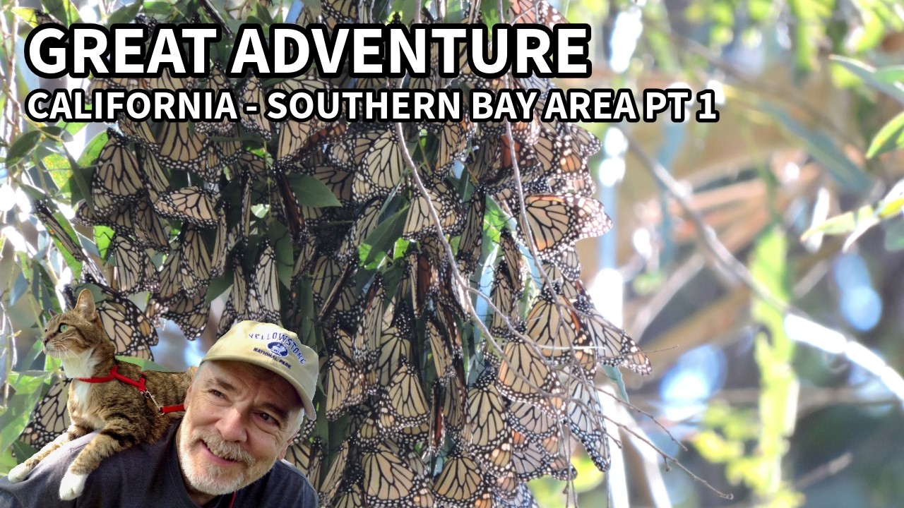Great Adventure - Part 24A: Potholes, Pelicans, and Processors