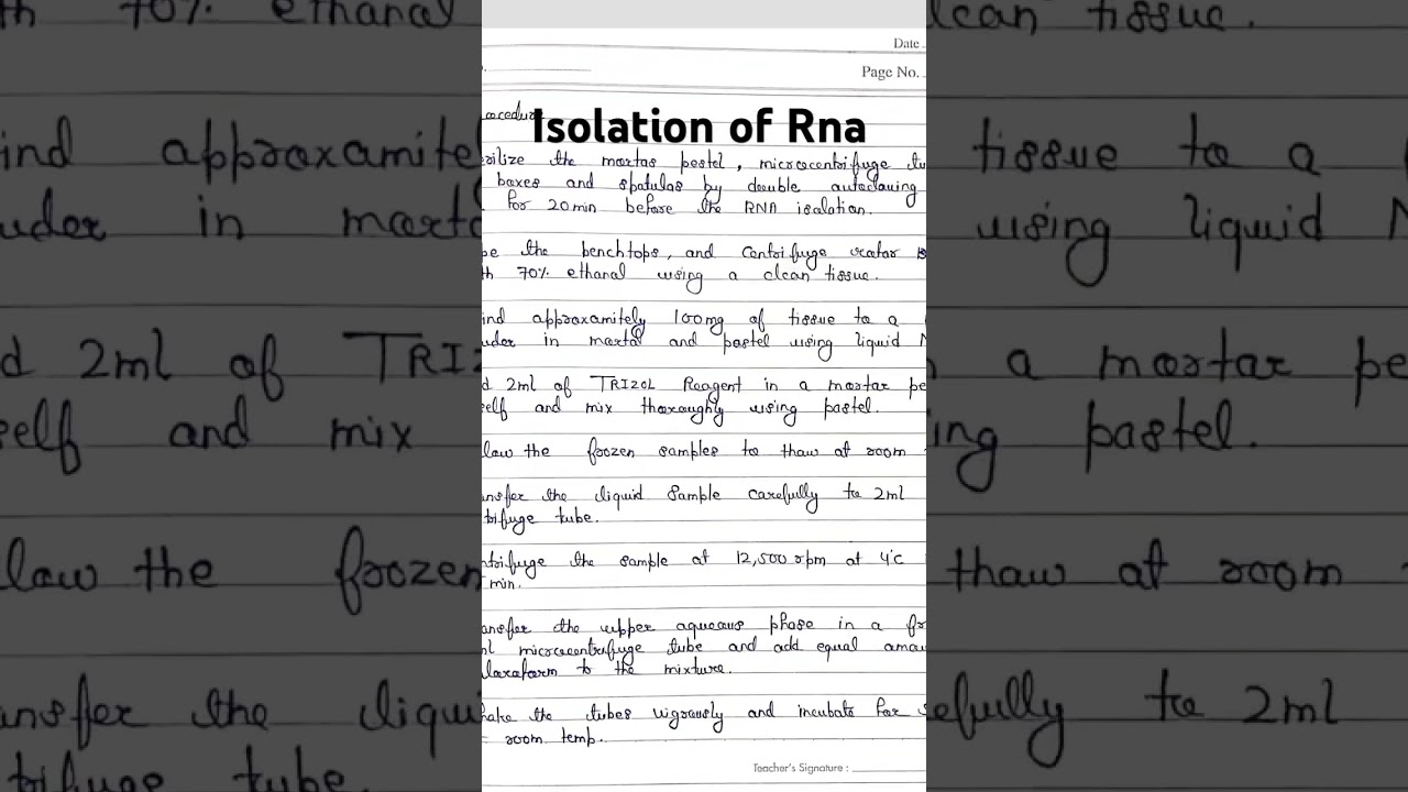 Isolation of RNA | extraction| practical | RNA isolation #mlt #easy #practical #notes