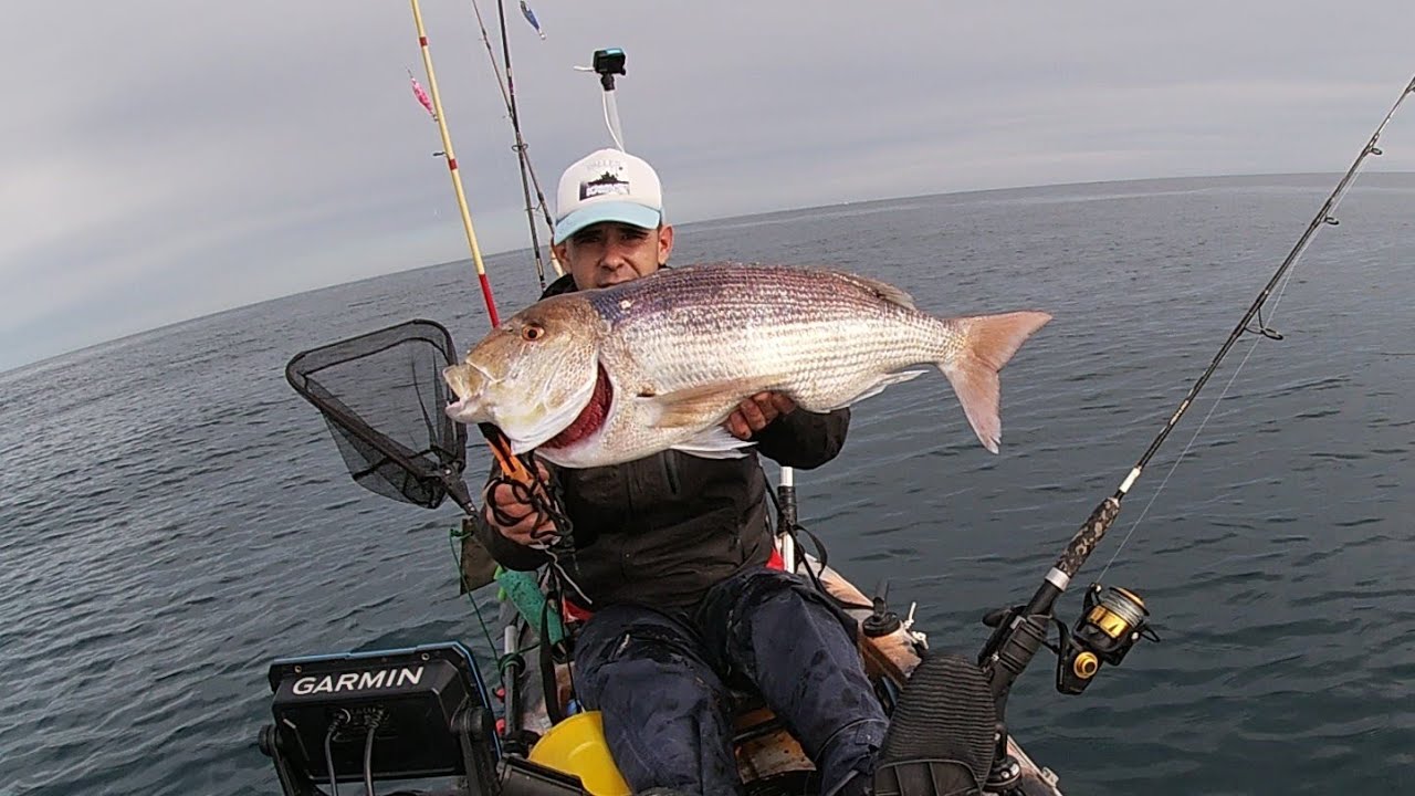 🎣𝗗𝗢𝗕𝗟𝗘𝗧𝗘 𝗗𝗘 𝗗𝗘𝗡𝗧𝗢𝗡𝗘𝗦🎣