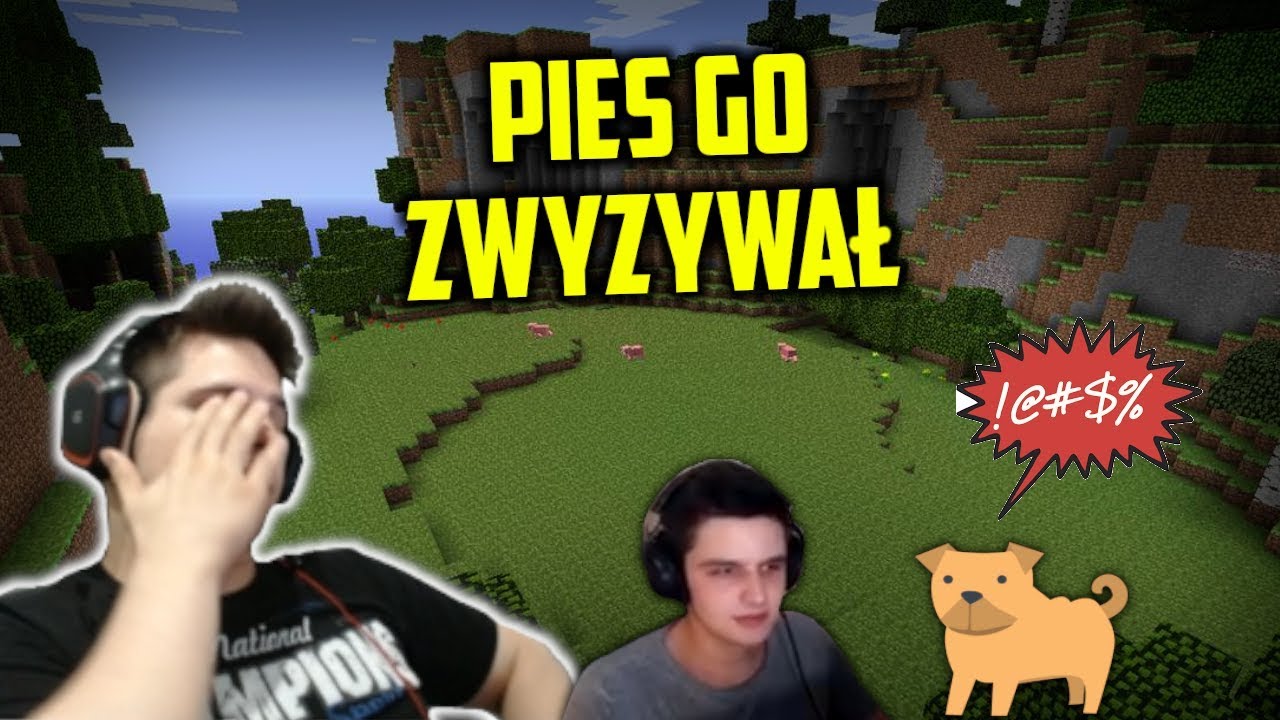 ZONY! Pies wyzywa DMG! Powrót do Endu! Ogar latanko i lądowanko! | SHOTY | DEFF