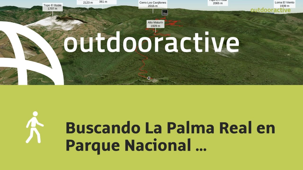 Video 3D interactivo: Buscando La Palma Real en Parque Nacional Macarao