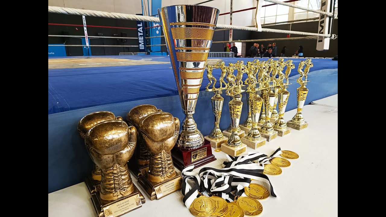 Boxe en direct du gymnase Pascal Rossini d'Ajaccio. Trophée Jean Molina. A partir de 20h30