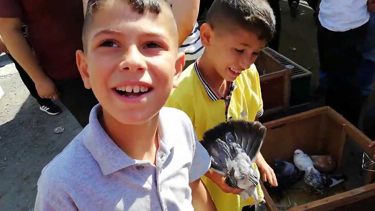 Bu Sefer Farklı, Pazar Gittikçe Hızlandı. İstanbul Edirne Kapı Kuş Pazarı, İstanbul Güvercin Pazarı