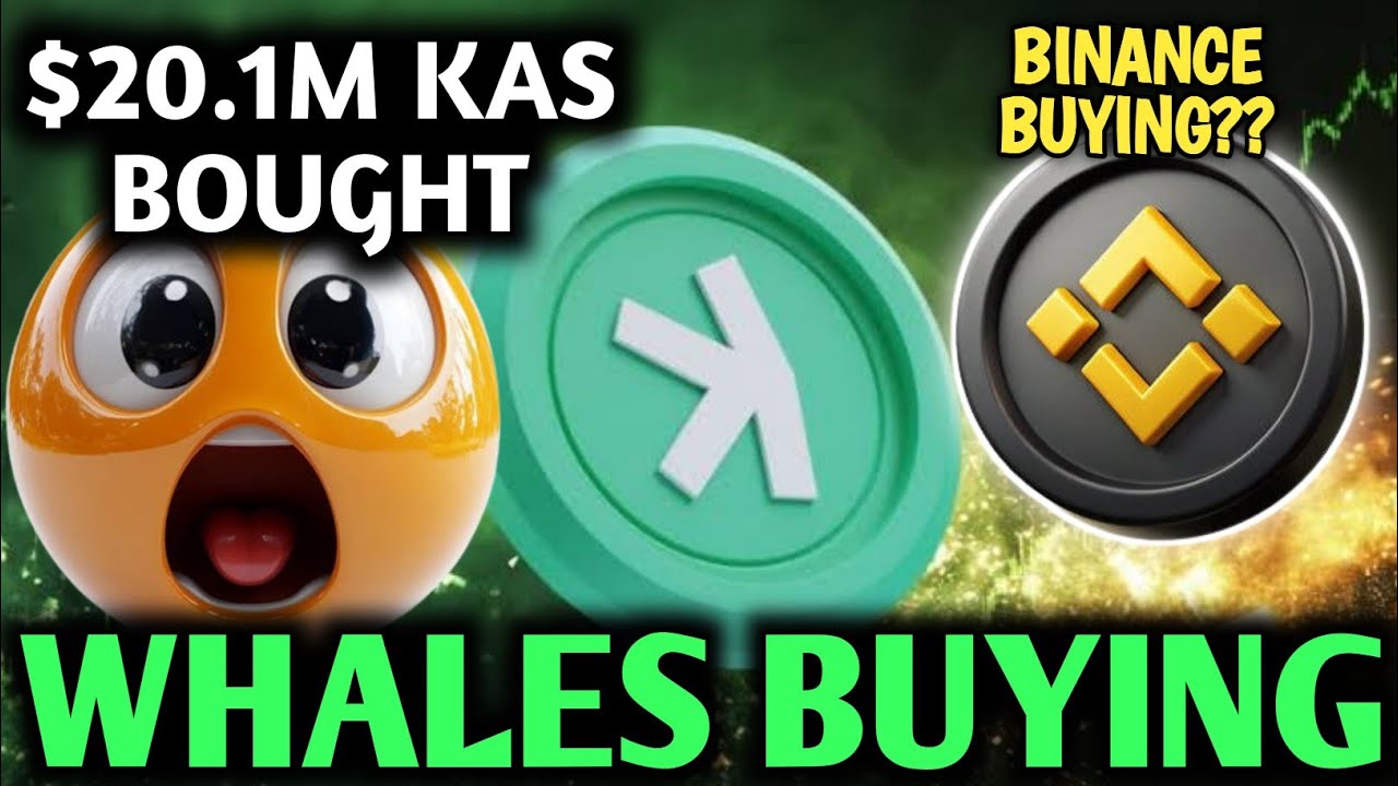 Новости Kaspa сегодня: крупные кошельки китов накапливают KAS | Целевая цена $0,08