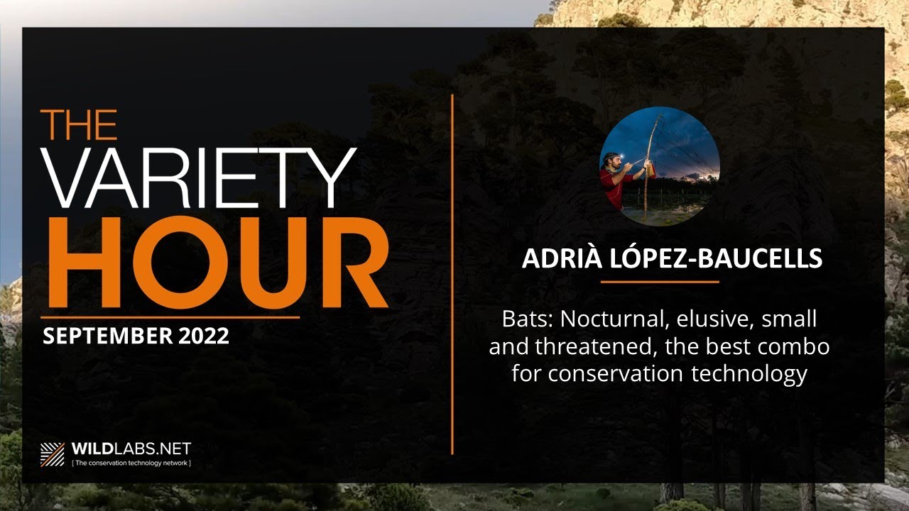 Adrià López-Baucells: Bats - the best combo for conservation technology
