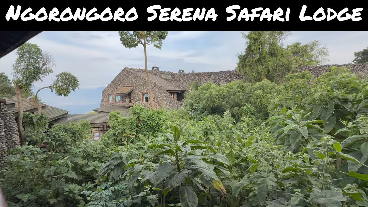 Экскурсия по Ngorongoro Serena Safari Lodge: внутри лучшего отеля в кратере Нгоронгоро и сафари-л...