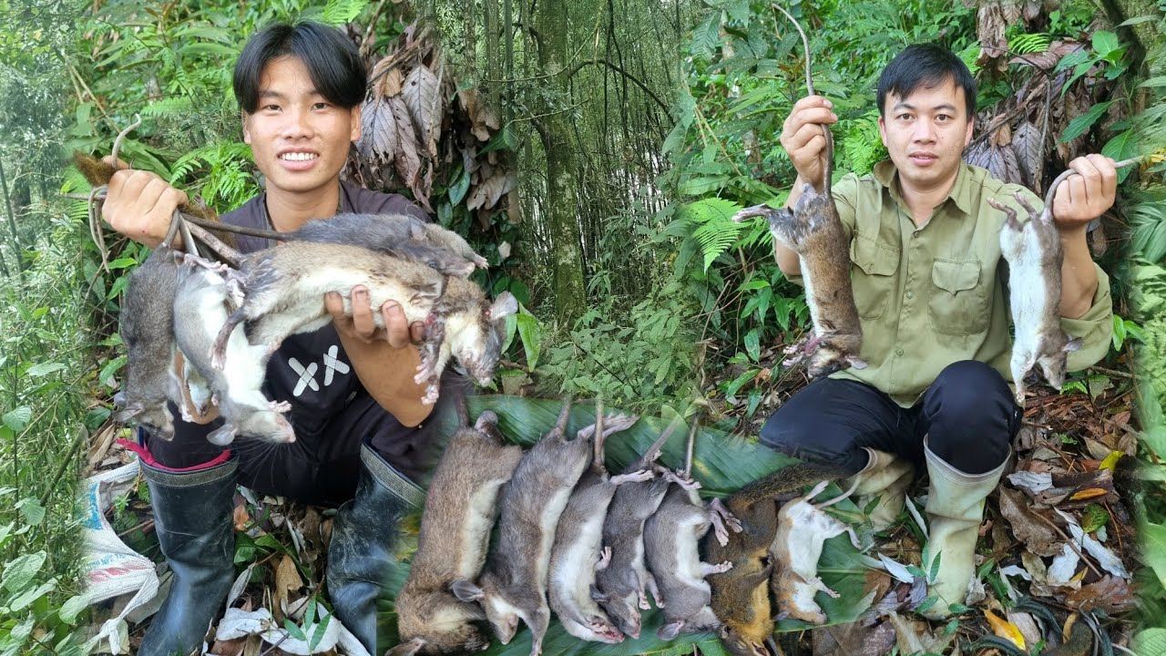 Hành Trình Thú Vị Thăm Bẫy Chuột Trong Rừng: Một Ngày Đáng Nhớ