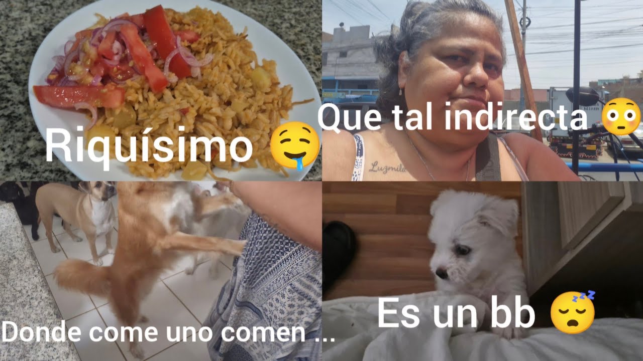 No quisieron fréjoles castilla? Pues ahora se lo van a comer!! Nueva receta de mamá 🤤 
