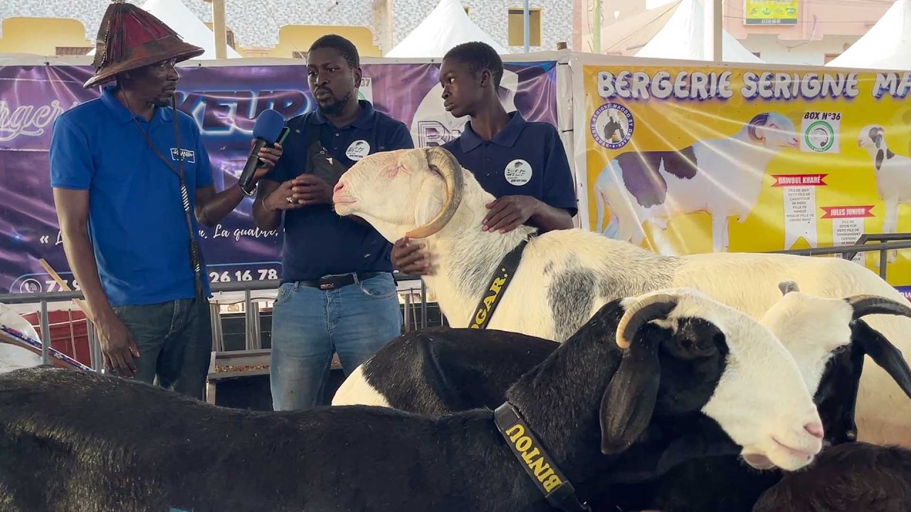 RAMADAN DES ELEVEURS BEREGRIE YAYE FANTA