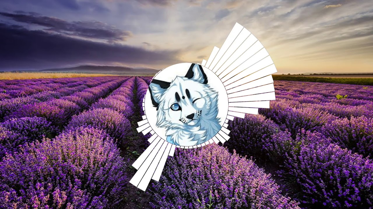 Kayden - I'm Gone (Lyric Video)