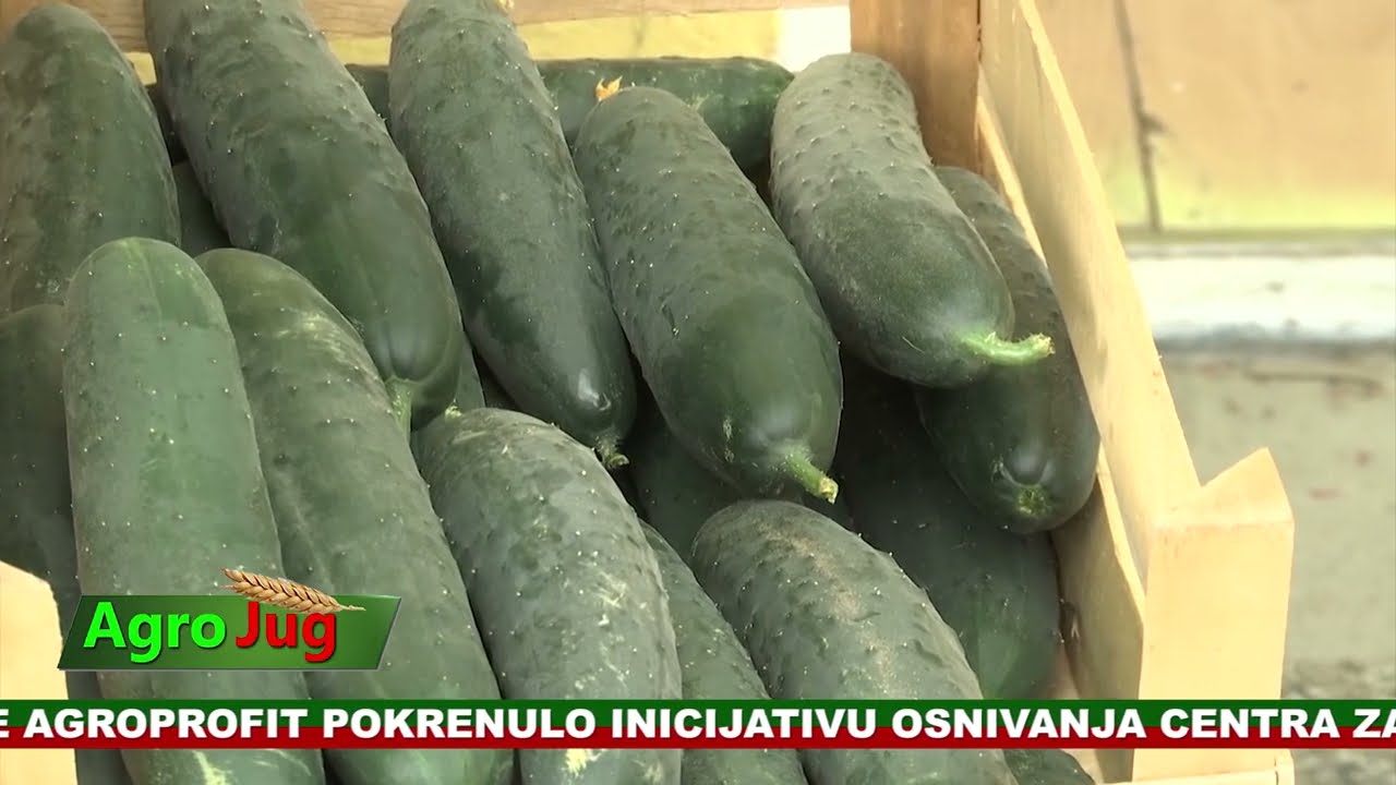 Emisija o poljoprivredi : : AgroJug :: Poljoprivreda 2026 : : : 2572::: 23-2-2026