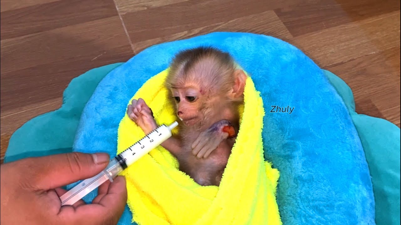 P..r Dad Give Zhuly 1-Syrinq Milk Before Night Time Go To Bed