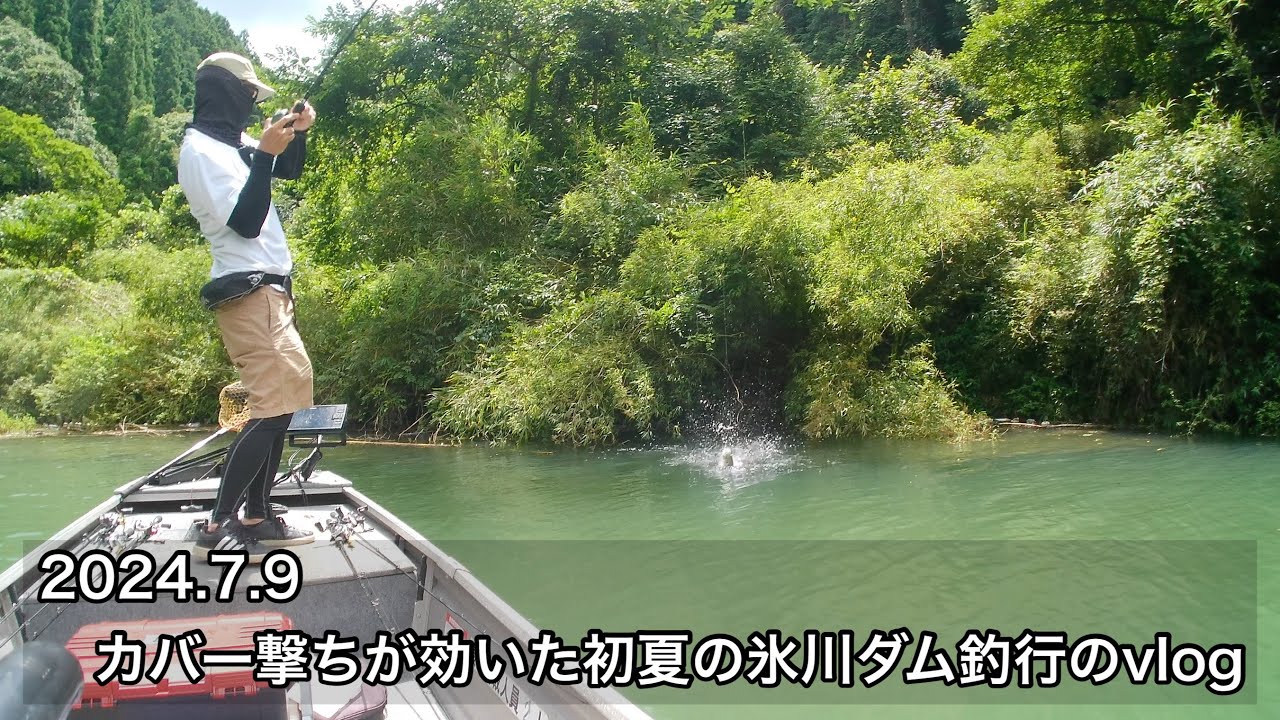 7/9 カバー撃ちが効いた初夏の氷川ダム釣行のvlog