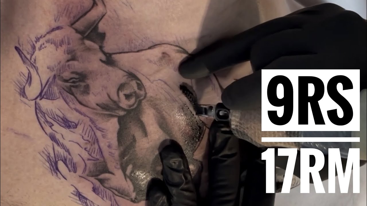 Bull Tattoo | Time lapse