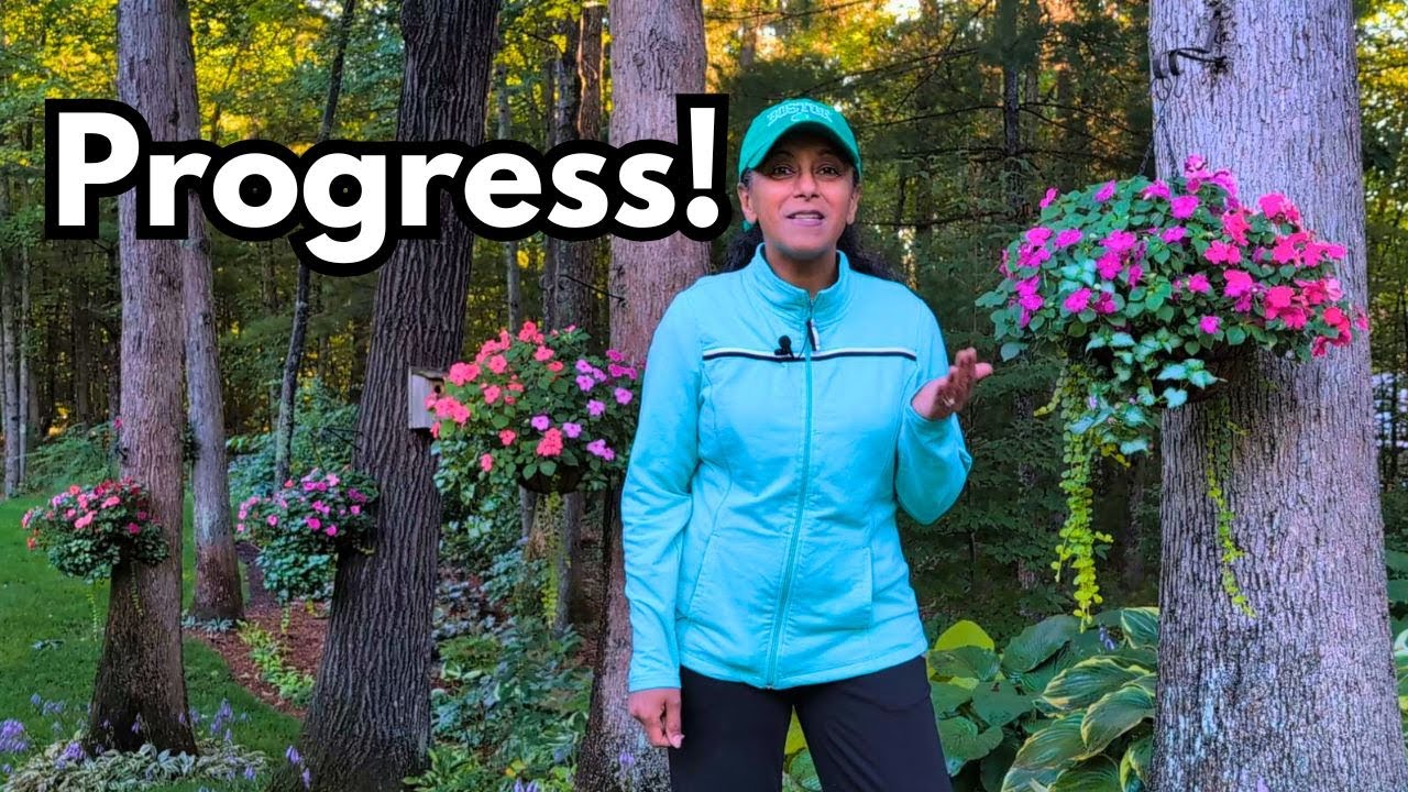 ✅ Deadheading Dahlias Snapdragons Coral Bells & Transplanting Sea Holly