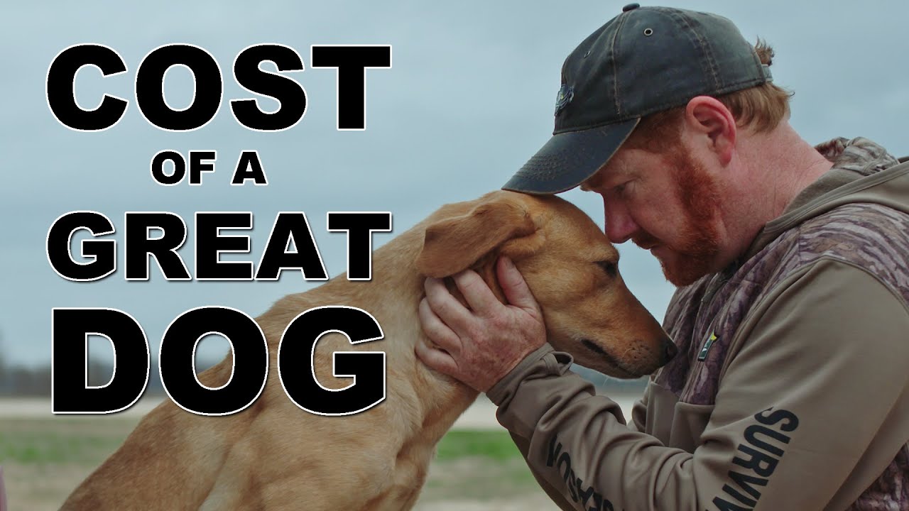 Losing Your Hunting Dog | How to Start Again