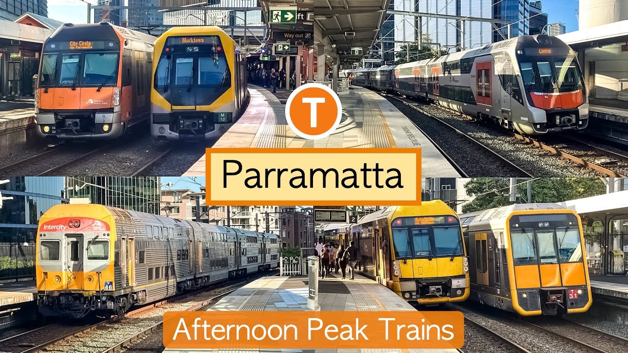 Transport for Sydney Vlog 1060: Parramatta Part 7 - Afternoon Peak Trains
