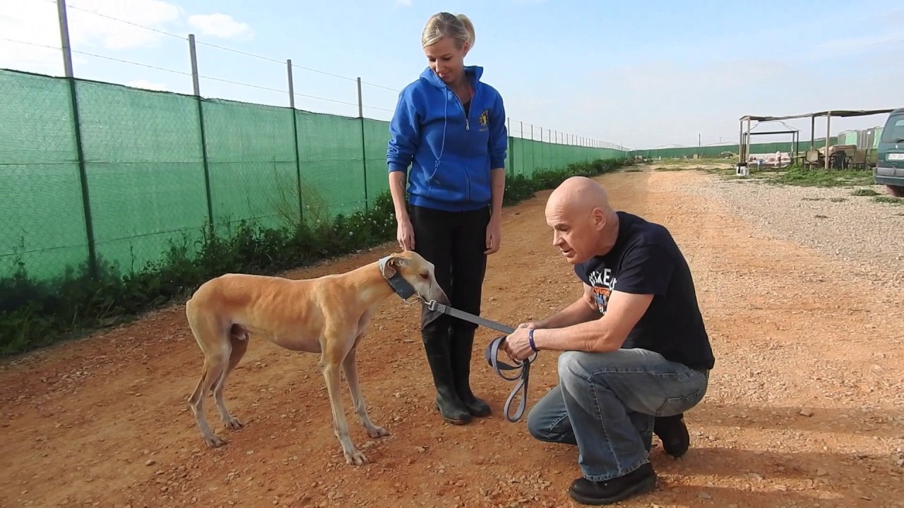 Six lucky babies leave for new homes