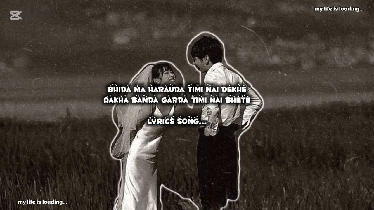 BHIDA MA HARAUDA TIMI NAI DEKHE |  Lyrics song | Lofi song  | my life is loading | BHIDA MA HARAUDA