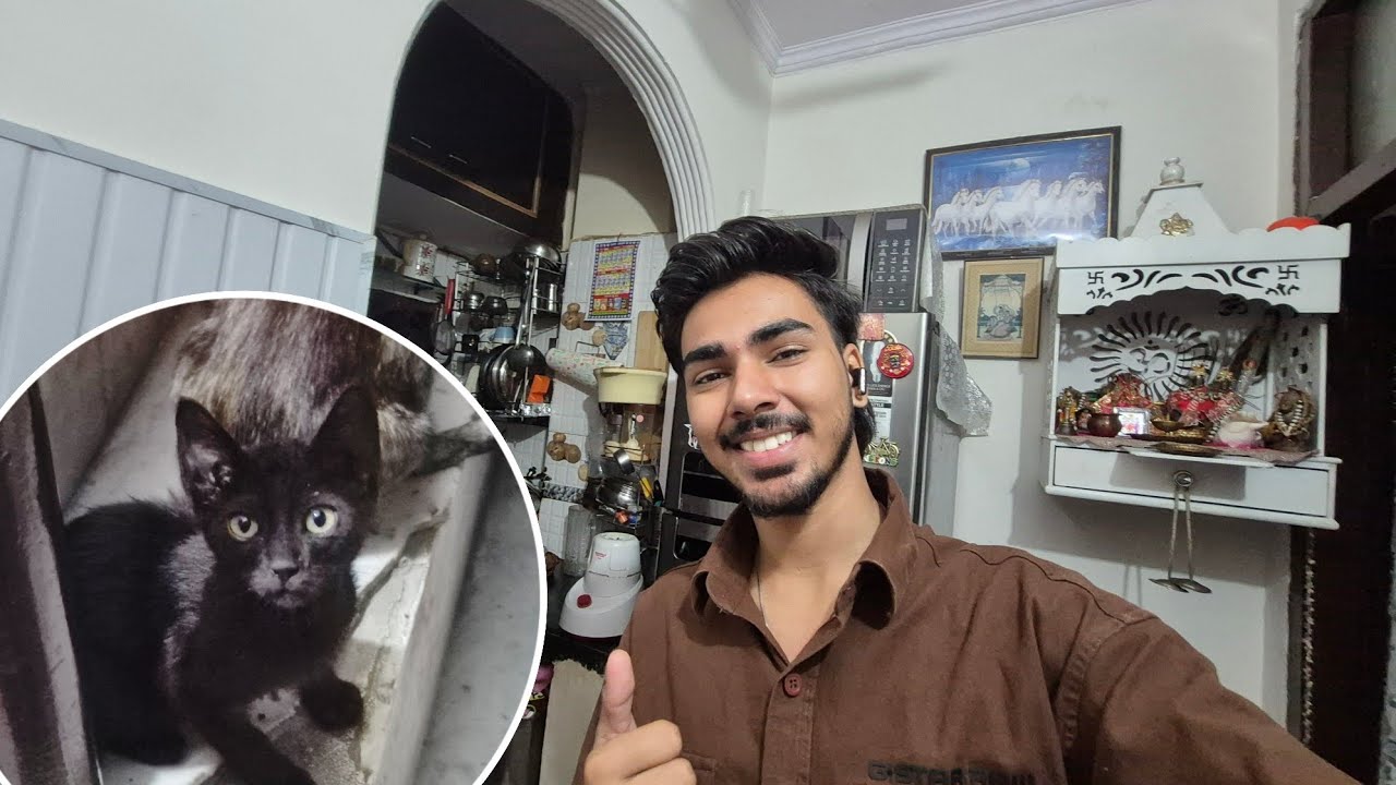 Ghar Par Aayi NEW CAT 😻 🐈‍⬛️ | Tabiyat Aur Kharab Ho Gayi Meri 
