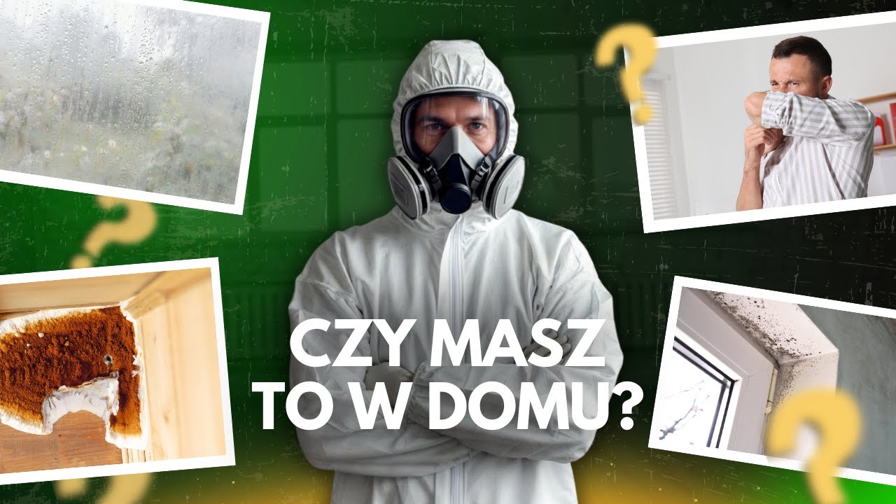4 objawy grzyba w domu, które ignorujesz – zobacz, zanim będzie za późno!