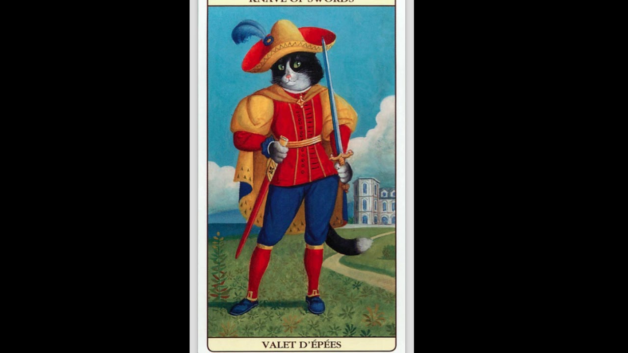 MARSEILLE CAT TAROT FULL FLIP THROUGH