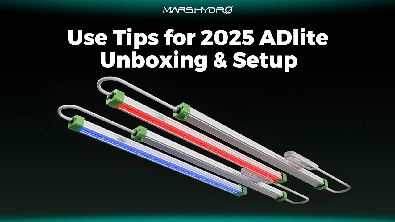 All the Details You Need to Know About 2025 ADlite Series