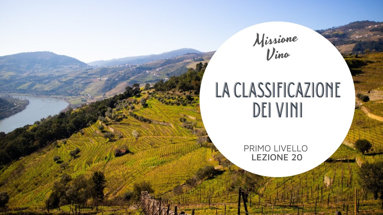 Lezione 20: La classificazione dei vini - Cosa significa vino IGT, DOC e DOCG