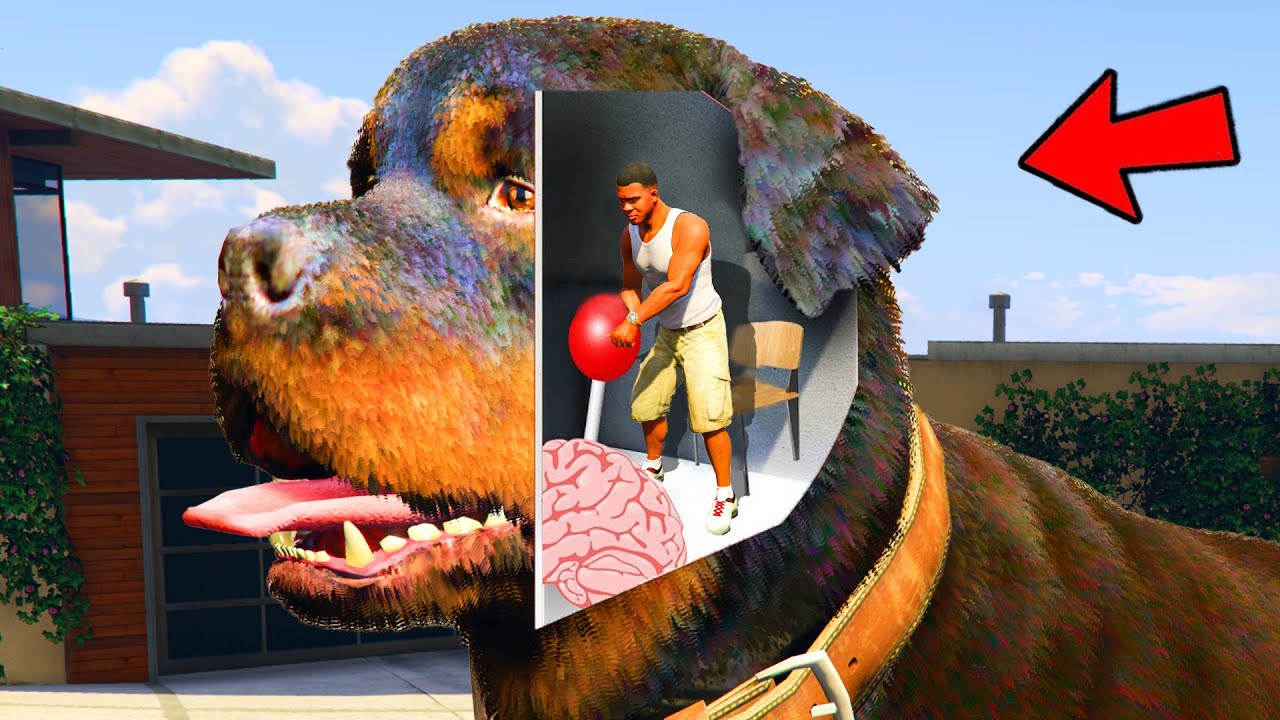 ФРАНКЛИН ЧОПТЫҢ МИІН БАСҚАРЫП ҮЙІН ҚЫЙРАТТЫ (GTA V)