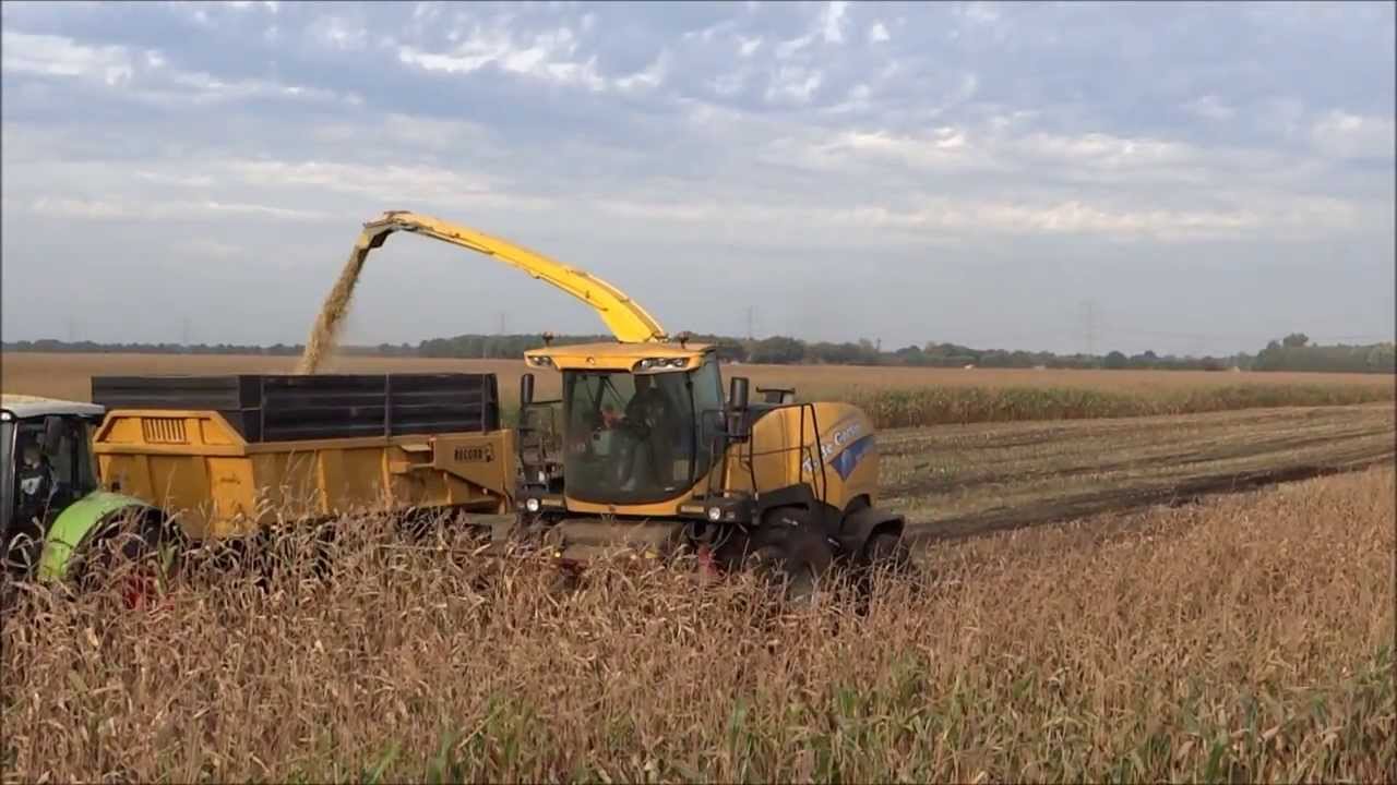 New Holland FR9050/maishakselen/harvesting maize/2013/The Netherlands/de Gorter uit Veeningen