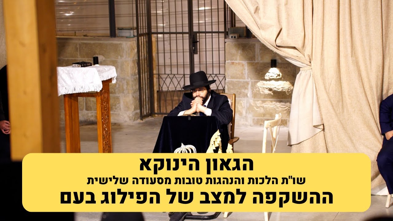 הגאון הינוקא - ההשקפה למצב של הפילוג בעם - שו