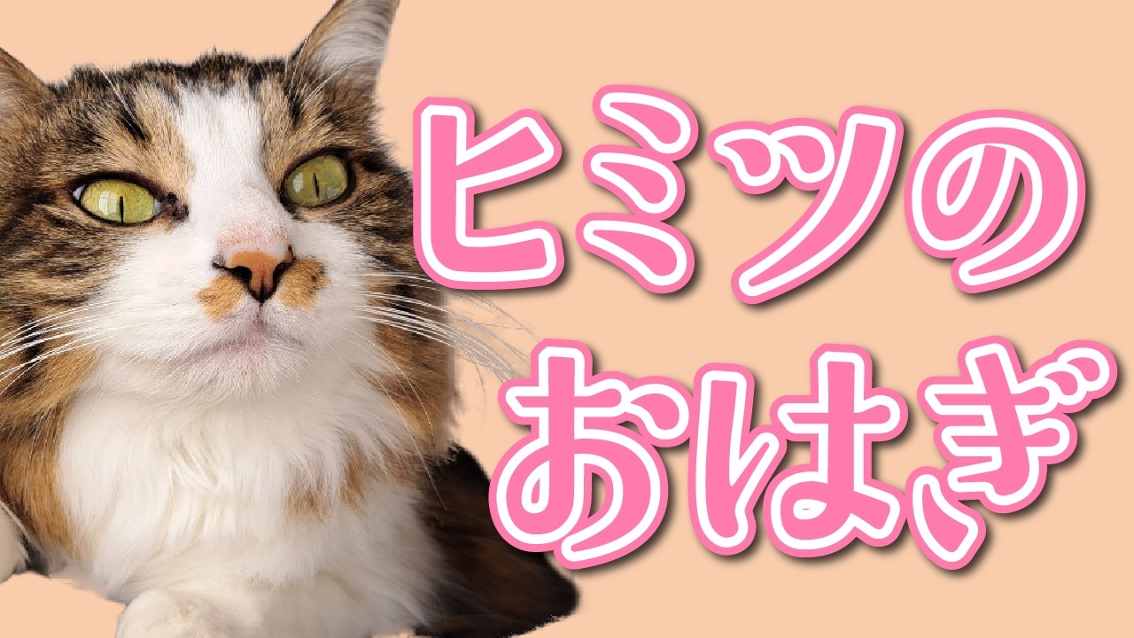 毛玉クリエイト｜社員紹介#01｜あなたの推しはだぁれ？