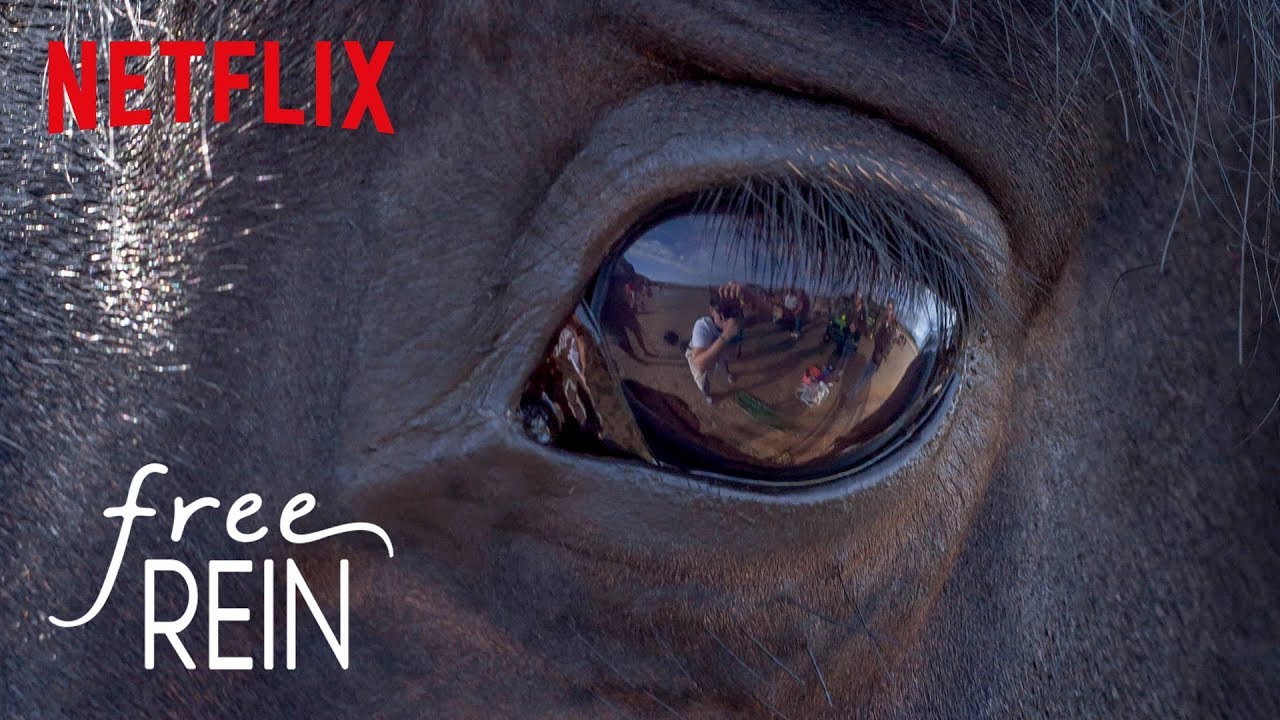 Free Rein: Season 1 | Backstage - Meet The Horses | Netflix