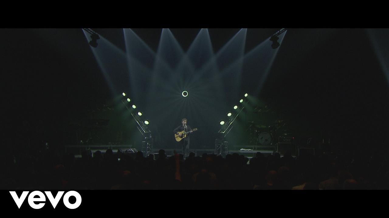 Hubert-Félix Thiéfaine - Des adieux (VIXI Tour XVII au Palais des Sports 2015)
