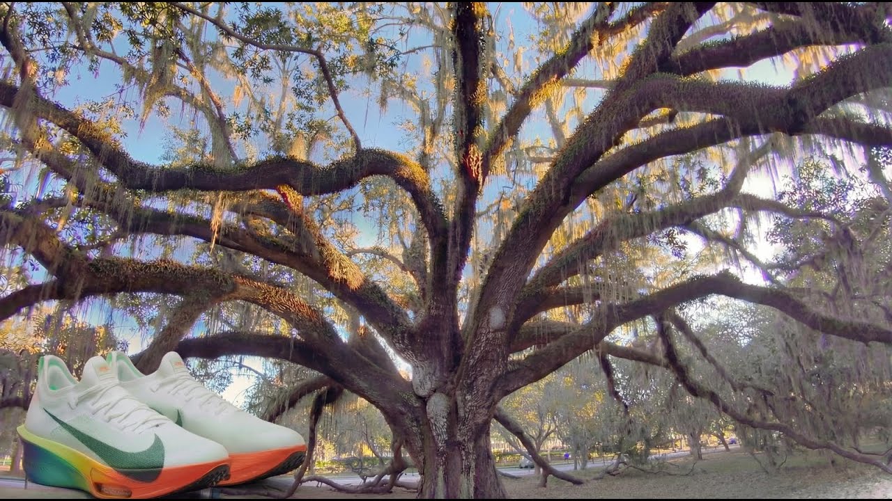 6.5 KM ASMR Run in Orlando | 5:13/km Steady Pace (No Talking POV)