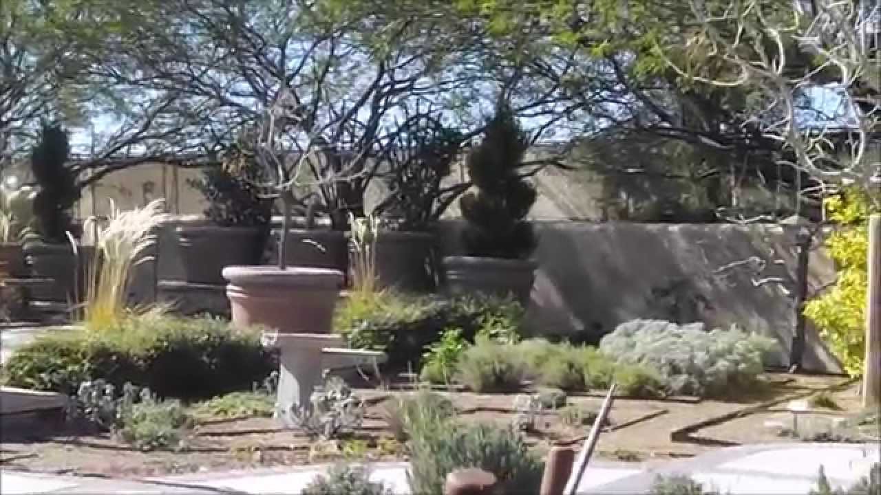 Unbagging: Pentax Optio RS1000 - A Brief Look - Sample Pictures and Video