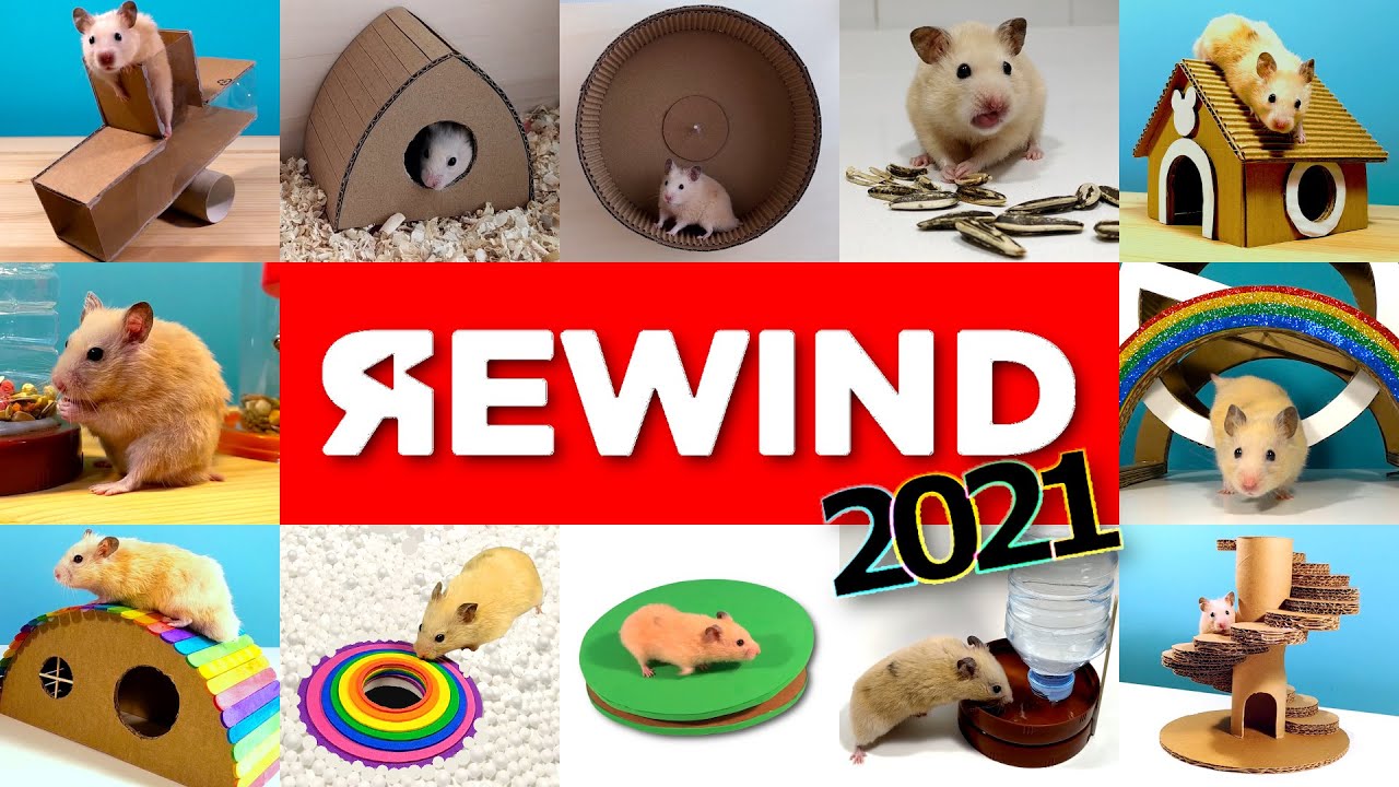 Primer Año de Territorio Hámster | ⏪ REWIND 2021