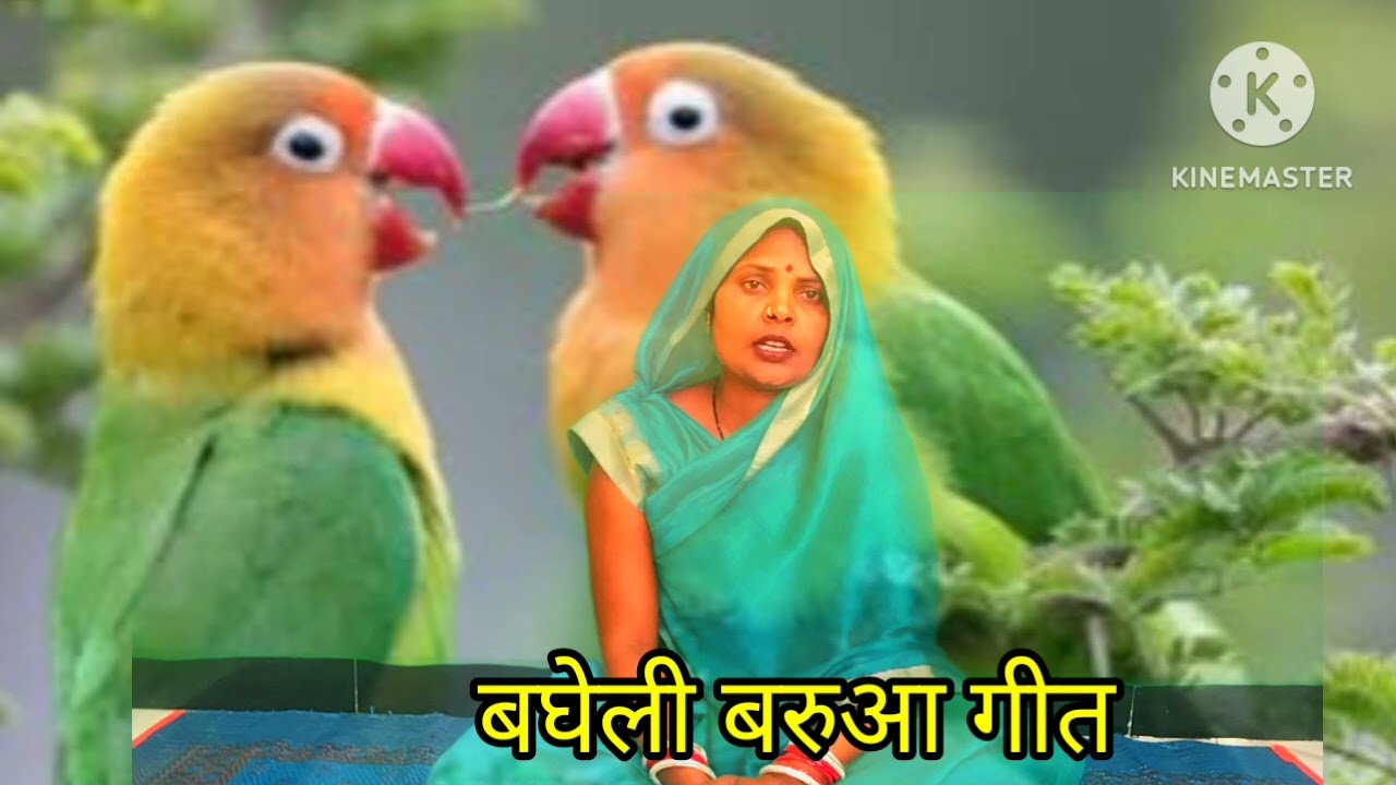#बघेली #जनेऊ संस्कार #बरुआ गीत न्यू गीत